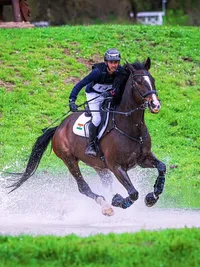 Horse Riding Lessons & Training