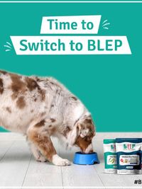 Human-Grade Pet Food Delivery