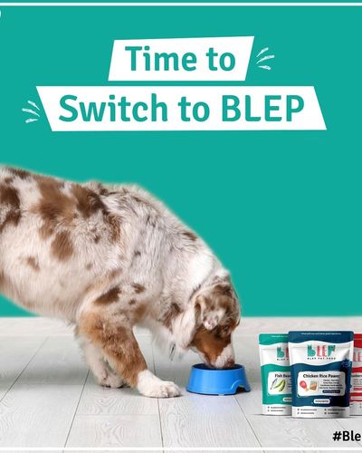 Human-Grade Pet Food Delivery