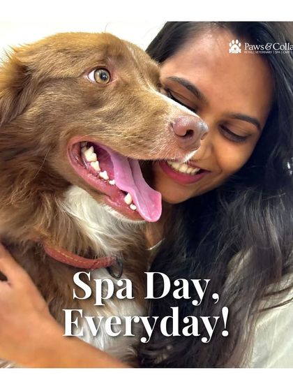 PawsnCollars - Pet Grooming & Spa Ava Naturals: Luxury Pet Cologne photo 24