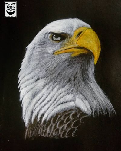 Traditional Art - Acrylic Paintings