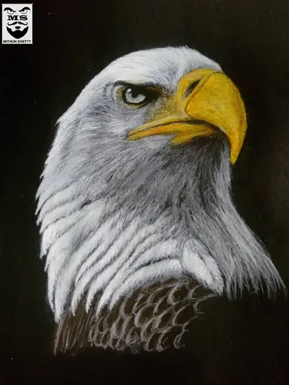 An eagle portrait created with color pencils and acrylic paint on paper. The sharp detail in the eye and beak captures the majestic and focused nature of this incredible bird.