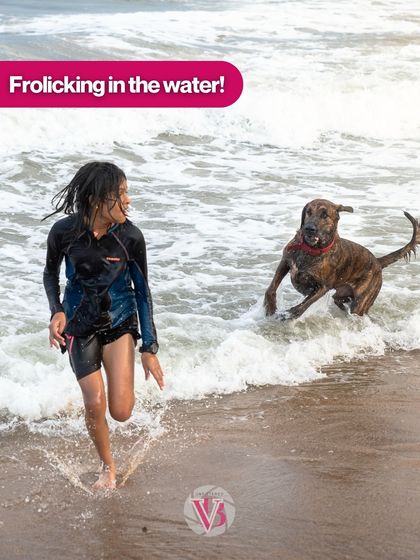 Frolicking in the water! This action shot captures the pure, unadulterated joy of a dog and his human playing in the waves.