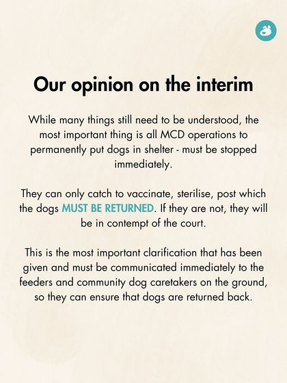 The Pack - Pet Parent Education & Workshops Awaara Nahi, Humara Hai: Community Dog Advocacy photo 17