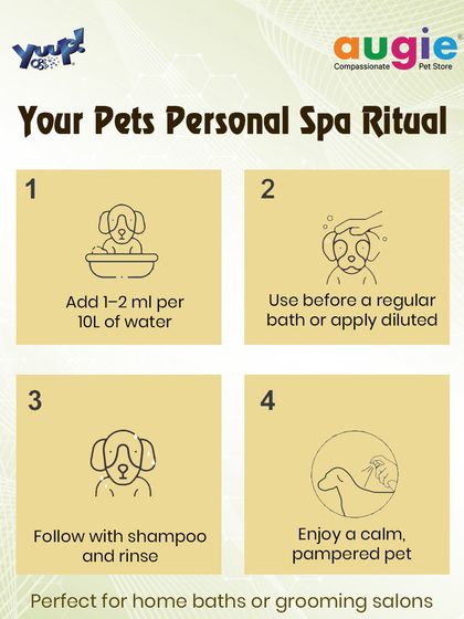 Augie Pets - Pet Supplies Spa Day at Home: Gentle Grooming Essentials photo 25