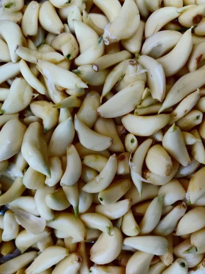 A pile of peeled garlic, ready for pickling. The strong, pungent flavour is essential for many of my recipes.