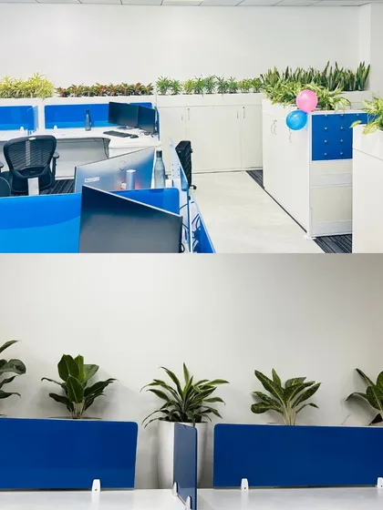 I find creative ways to integrate plants everywhere. This project shows how I used planters on top of storage cabinets and as dividers between desks, adding greenery without taking up valuable floor space and giving employees a touch of nature right at their workstation.