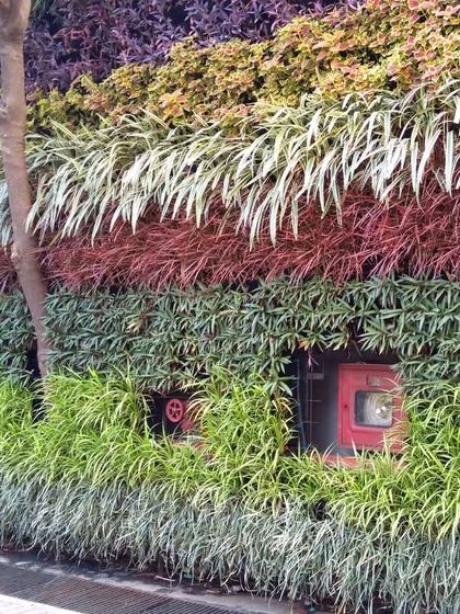 Outdoor Living Walls & Structures photo 3