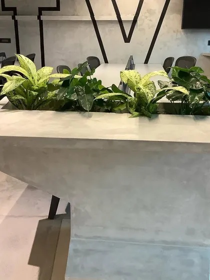 We worked with the office's architecture to integrate this planter directly into the conference table. It brings life and fresh air right into the meeting space.