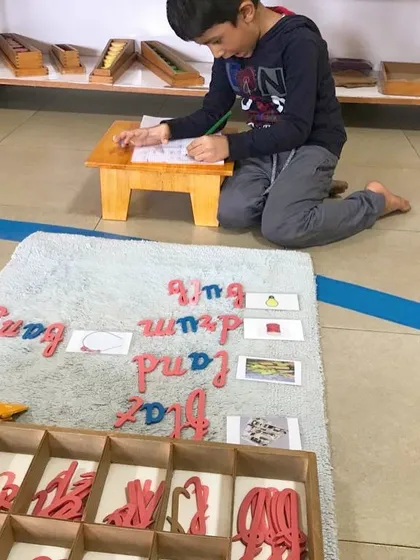 This is writing in action, the Montessori way. Using the Moveable Alphabet, this student is transforming his thoughts into words, connecting the phonetic sounds of letters to form sentences. This hands-on approach makes language tangible and empowers early literacy.