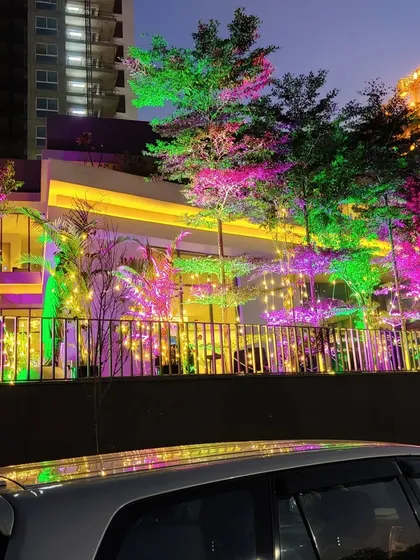 We transform outdoor spaces with professional lighting. Here, we used a mix of colorful uplighting on trees and warm fairy lights to create a festive ambiance for an evening Christmas party at a society clubhouse.