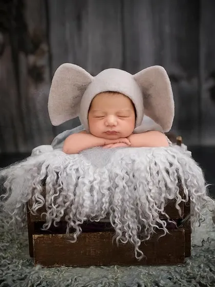 This newborn wears a cute elephant hat with big ears, sleeping in a crate lined with a shaggy grey blanket and surrounded by mushroom props.