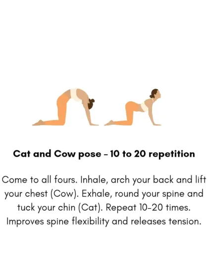 Rohit N - Yoga Teacher Training Foundations: Asana & Pranayama Tutorials photo 3