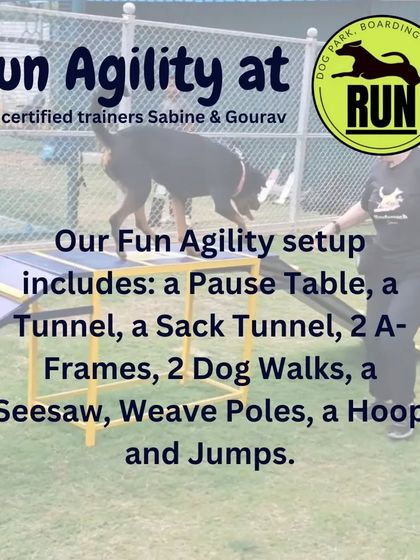 Gourav Vartalur - Fun Agility Training Our Playground: The Agility Course at 'The Run' photo 4