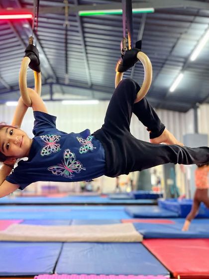 The Movement Studio - Aerial Arts Strength & Conditioning: Rings, Ropes & More photo 3