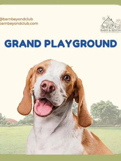 Welcome to our grand playground. I designed this massive, grassy area to be a true paradise for dogs, giving them all the space they need to run, explore, and just be dogs.