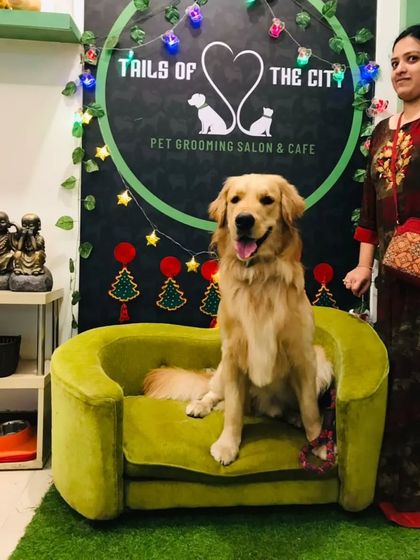 Tails of the City - Pet Spa & Creative Styling Our Happy Pack: Client Gallery photo 23