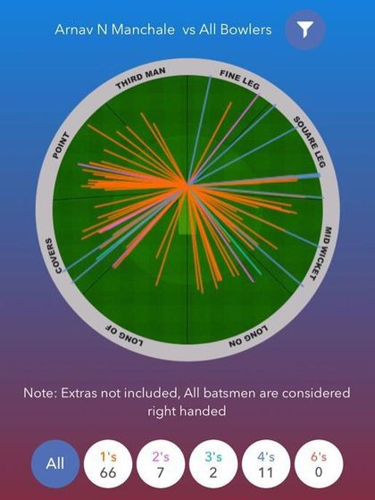 The wagon wheel graphic provides a technical breakdown of a batsman's scoring, a tool I find useful for analysis.