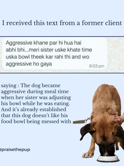 This post shares a real client text about food aggression, highlighting how common this issue is and the importance of not messing with a dog's bowl while they eat.