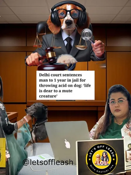 A promotional graphic for a podcast where I discussed the Coco case. The conversation focused on the intersection of woman power, justice, and advocacy against animal cruelty.