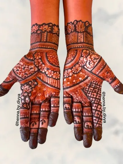 An intricate design filled with traditional Indian motifs. It features elephants, paisleys, and floral patterns, all woven together to create a full and festive look.