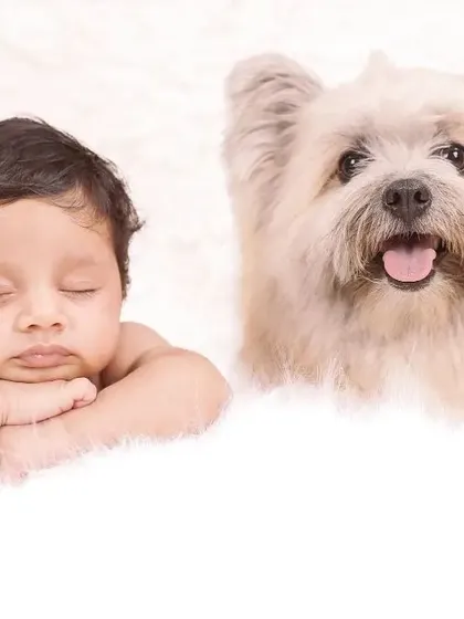 A duplicate of the adorable portrait of the sleeping baby and their dog, a testament to how popular these shots are.