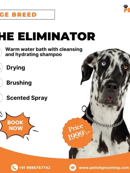 Petish Grooming - Mobile Grooming for Dogs & Cats Our Grooming Packages photo 19