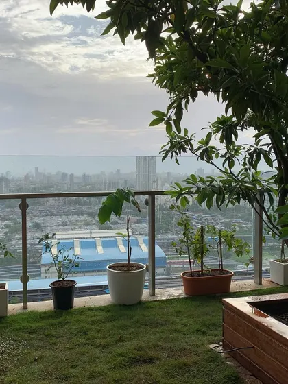 Another view of the Kumar's terrace, showing newly planted fruit saplings along the edge of the lawn, poised to grow and frame the skyline.