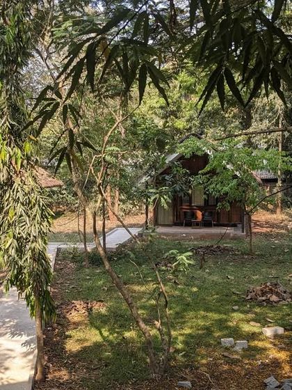 The verdant and peaceful environment of the Kali Adventure Camp, with cottages nestled among the trees.