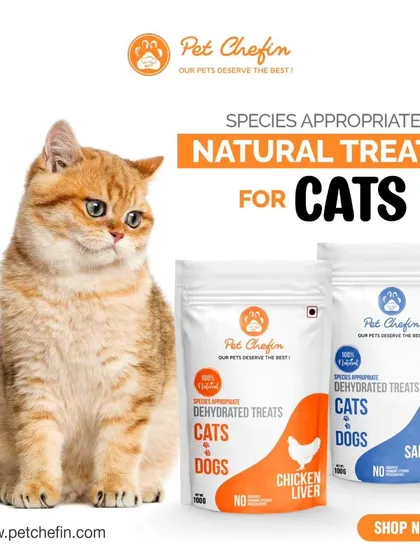 For our feline friends, a species-appropriate diet is non-negotiable. Our air-dried Chicken Liver and Sardines are designed for obligate carnivores, delivering the pure, meat-based nutrition cats need to thrive.