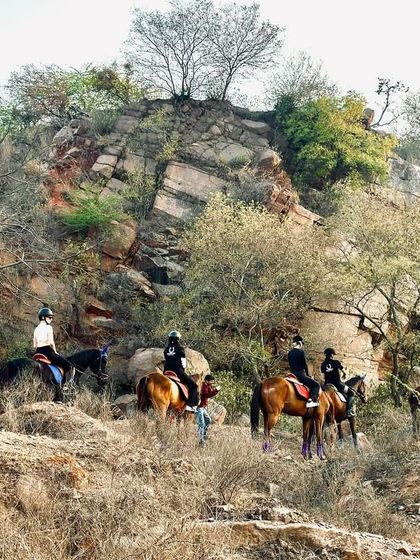 Aravalli Horseback Safaris photo 5