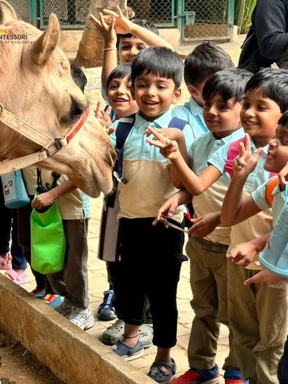 Chimes Montessori - Afternoon Montessori Program Adventures in Learning photo 9