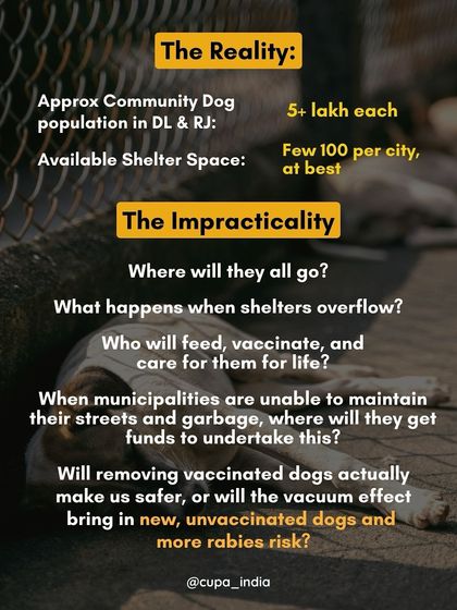 Cupa - Animal Cruelty Legal Aid & Advocacy Our Legal Fight for Animals photo 26