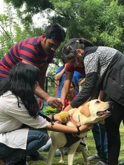 Participants in a workshop get some hands-on experience with a very patient Labrador.