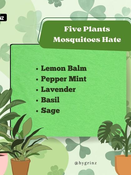 Hygrinz - Garden Design & Landscaping Your Guide to a Green Thumb photo 4