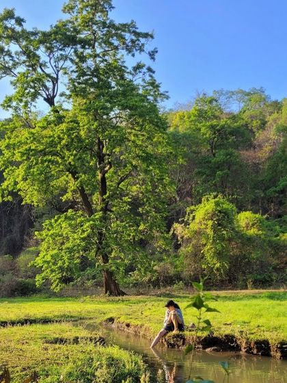 When I say Malnad is heaven, this is what I mean. These are scenes from my family's home, a place of incredible natural beauty that constantly inspires my work and my connection to the earth.