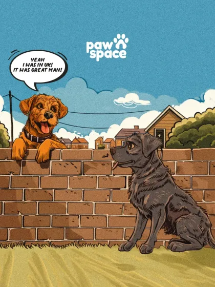 PawSpace - Pet Taxi & Relocation Adventures Ahead: Nationwide Pet Relocation photo 4