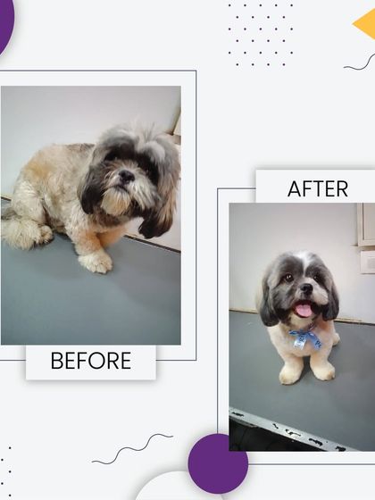 From ruff to fluff. This before and after is a testament to the grooming magic we perform in our mobile spa.