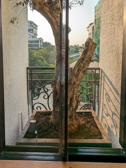 We love a creative challenge. For this Juhu balcony, we had to carefully install a large, mature bonsai tree in a custom-fit FRP planter, turning a limited space into a dramatic natural focal point as seen from inside the home.