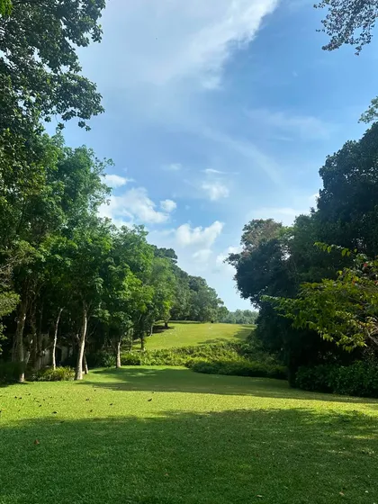 An expansive, rolling green lawn surrounded by mature trees, inspired by the work of Geoffrey Bawa. This is the kind of large-scale, naturalistic landscape we aspire to create, where the design feels effortless and timeless.