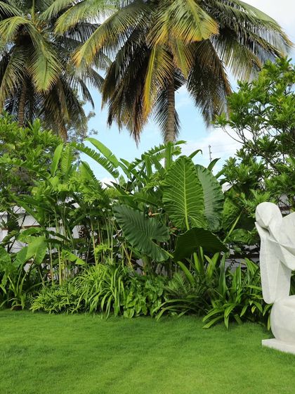 A view of a residential garden combining a perfect lawn with a modern sculpture and dense, tropical foliage. My job is to keep the grass healthy and the plant borders thriving.
