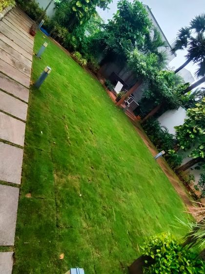 Lush Lawn Installations photo 4