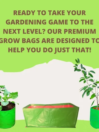 Our premium grow bags are a fantastic, eco-friendly option for your garden. They are durable, reusable, and the breathable fabric promotes optimal root growth for healthier plants.