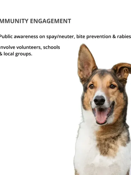 CarryMyPet - Pet Travel & Parenting Consultation Animal Welfare & Advocacy photo 19