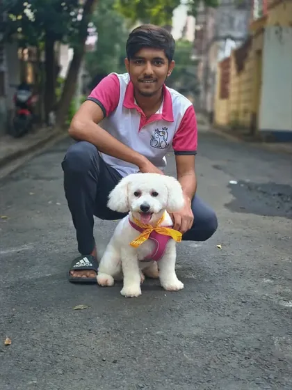 Romeo, looking handsome and proud after his grooming session. A clean cut makes all the difference.