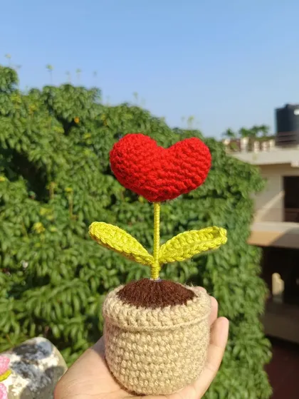 A single potted heart flower, a simple and sweet expression of love.
