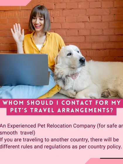 Global Pet Cab - Domestic Pet Relocation Your Pet Travel Questions, Answered photo 22