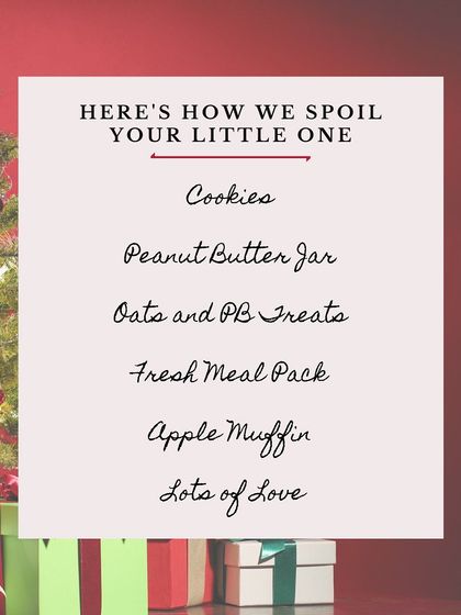 A peek at how I spoil your dog. The box includes a variety of treats like cookies, a peanut butter jar, oat treats, a fresh meal pack, and an apple muffin.