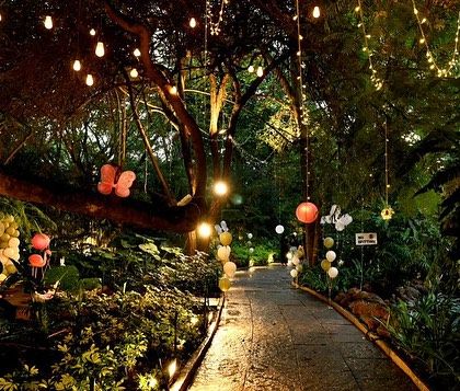 Novella - Children's Themed Birthday Parties Fantasy Worlds: Mermaids, Fairies & Enchanted Gardens photo 5