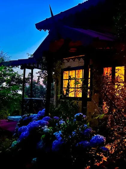 A cottage at Jungle Lore Birding Lodge glows warmly at dusk, with hydrangeas in the foreground. After a day of birding, our lodges provide a perfect, tranquil space to relax.